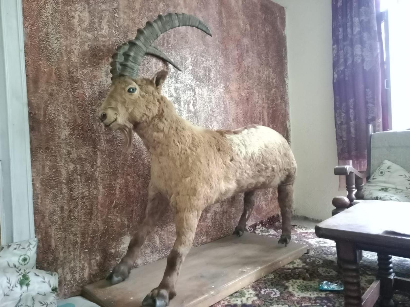 Golden Ibex Resort Skardu Kültér fotó