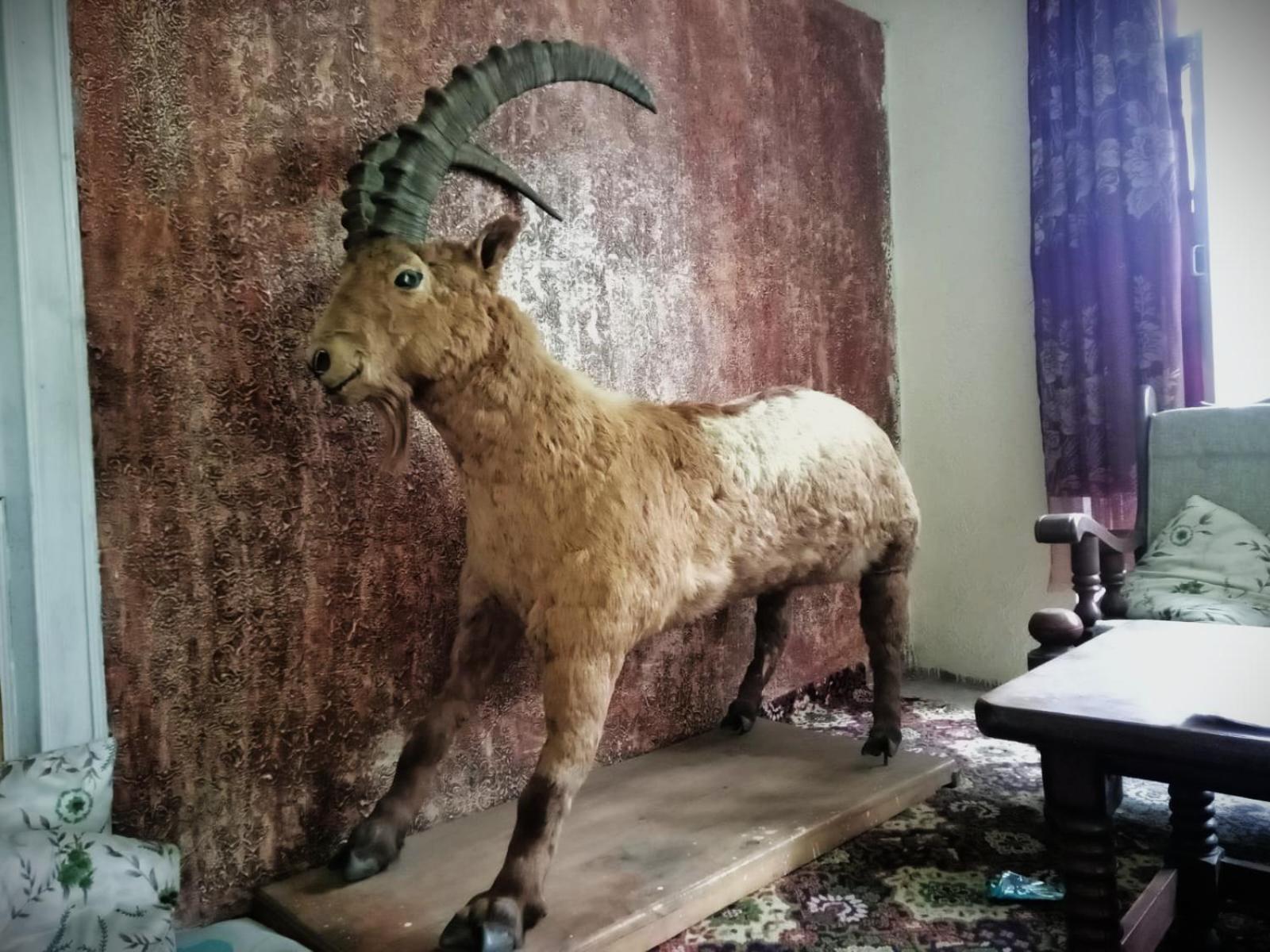 Golden Ibex Resort Skardu Kültér fotó